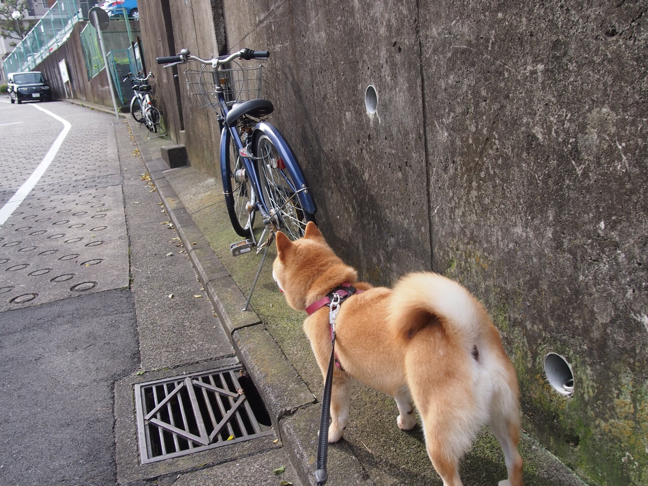 爱游戏体育app-中超联赛快攻发起次数统计图，中超联赛快攻发起次数统计图表