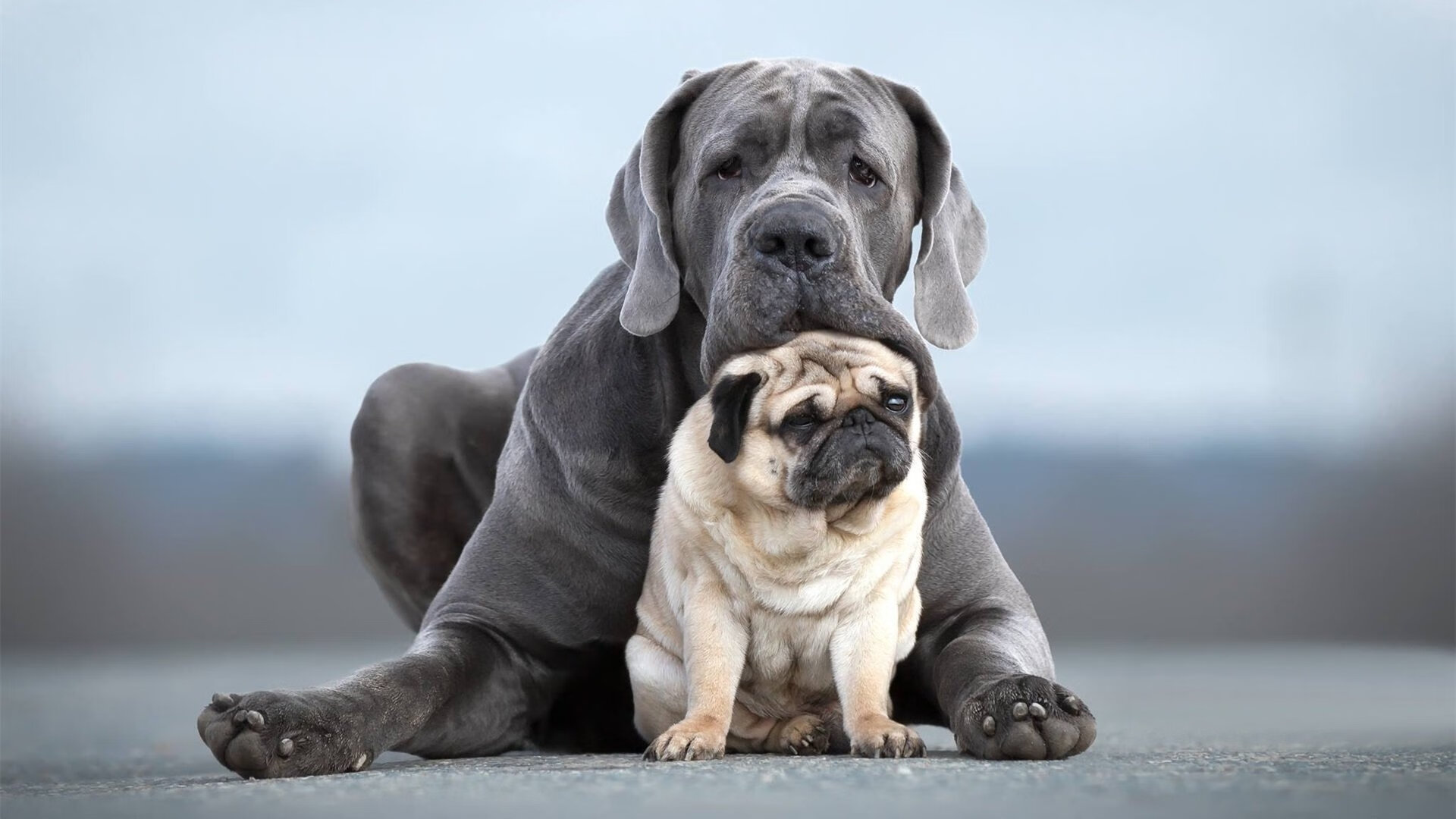 爱游戏官方-热火主场视觉系统升级带来更强临场体验，热火主场地板超清