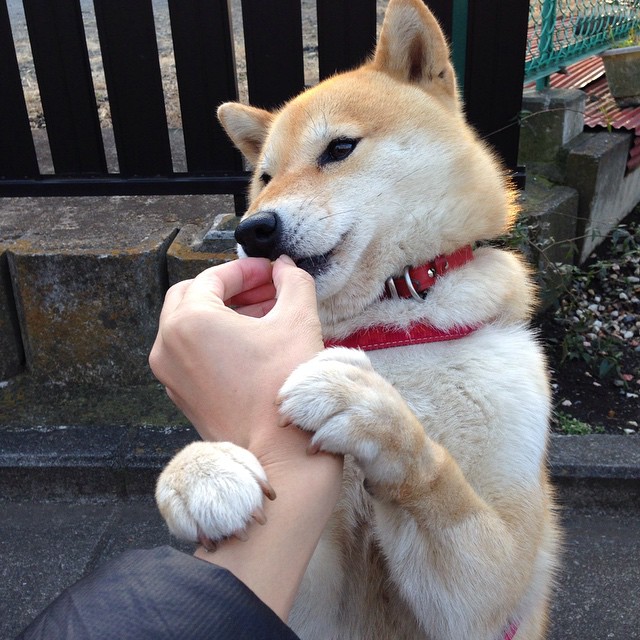 青少年篮球开展专项技能训练丰富手段，青少年篮球训练计划的主要方法内容